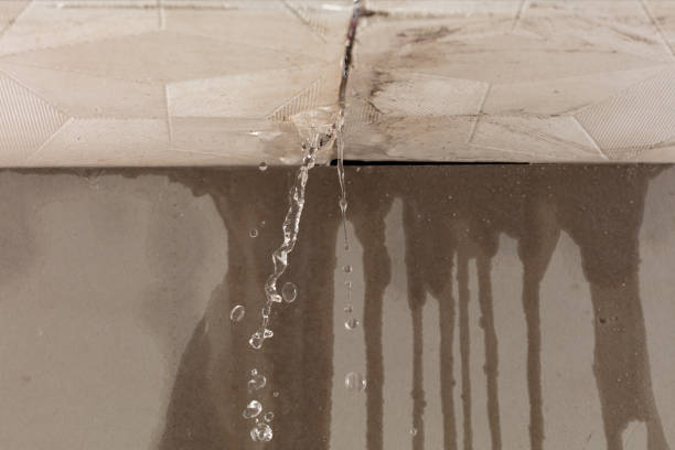 Professional Water Extraction technician working in Holt, MI